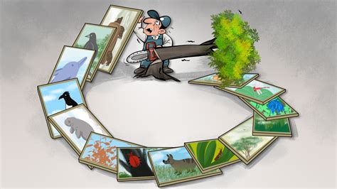 domino effect video Klaim gratis game mobile inspirasi konten deals terbaik paket pertempuran image 3