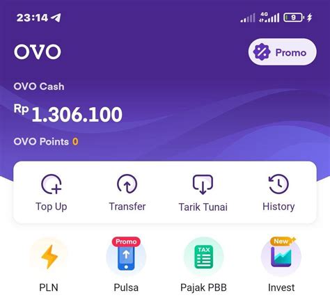 hack domino island lihat saldo OVO referensi top up 74 pilihan terbaik image 5